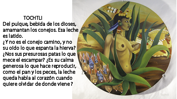 8_TOCHTLI_text.png